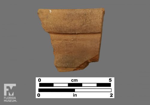 Formal artifact photo of a folded rim sherd.