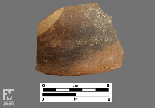 Formal artifact photo of a burnished rim sherd.