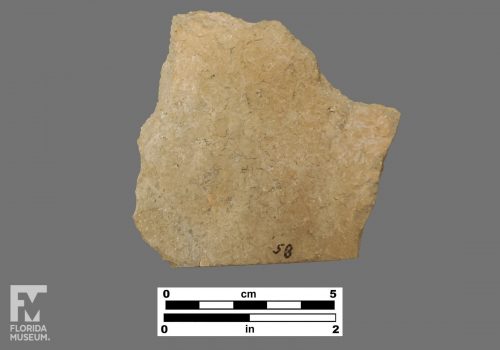 Formal artifact photo of an undecorated sherd.