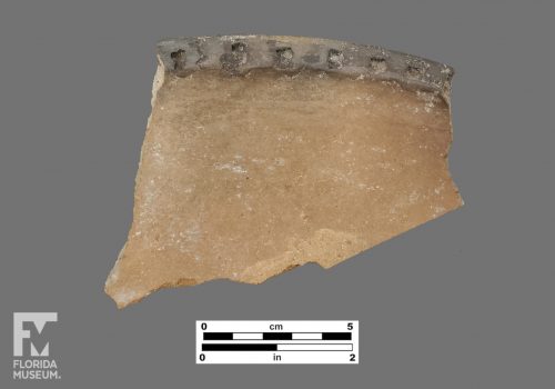 Formal artifact photo of a sherd with square incisions along the rim.