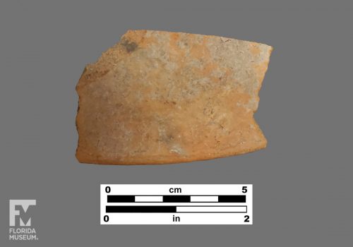 Formal artifact photo of an undecorated rim sherd.