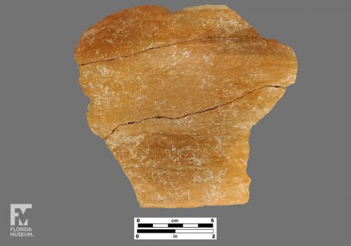 Formal artifact photo of a large pottery shed with two cracks along its body.