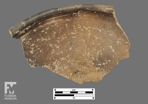 Formal artifact photo of a large pottery sherd with inwards turning rim.