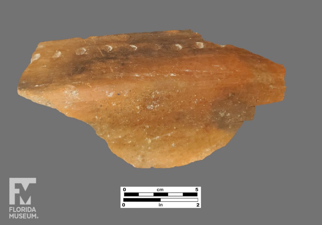 Formal artifact photo of a large Chicoid sherd with circular incising beneath the rim.