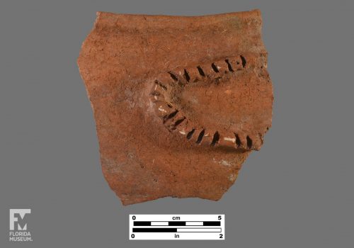 Formal artifact photo of a rim sherd with incised C-shaped appliqué.