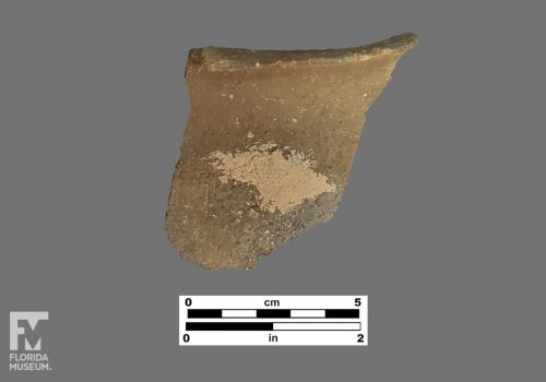 Formal artifact photo of a rim sherd.