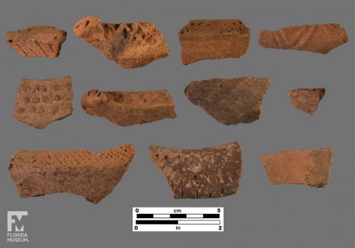 Formal artifact photo of eleven sherds with incising, punctation, and appliqué.