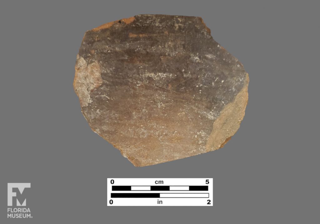 Formal artifact photo of a burnished ceramic sherd.