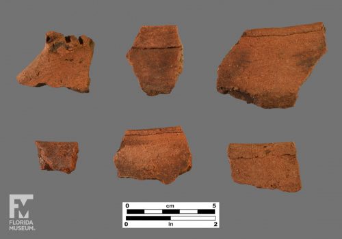 Formal artifact photo of six sherds, including some with incised appliqué and folded rims.