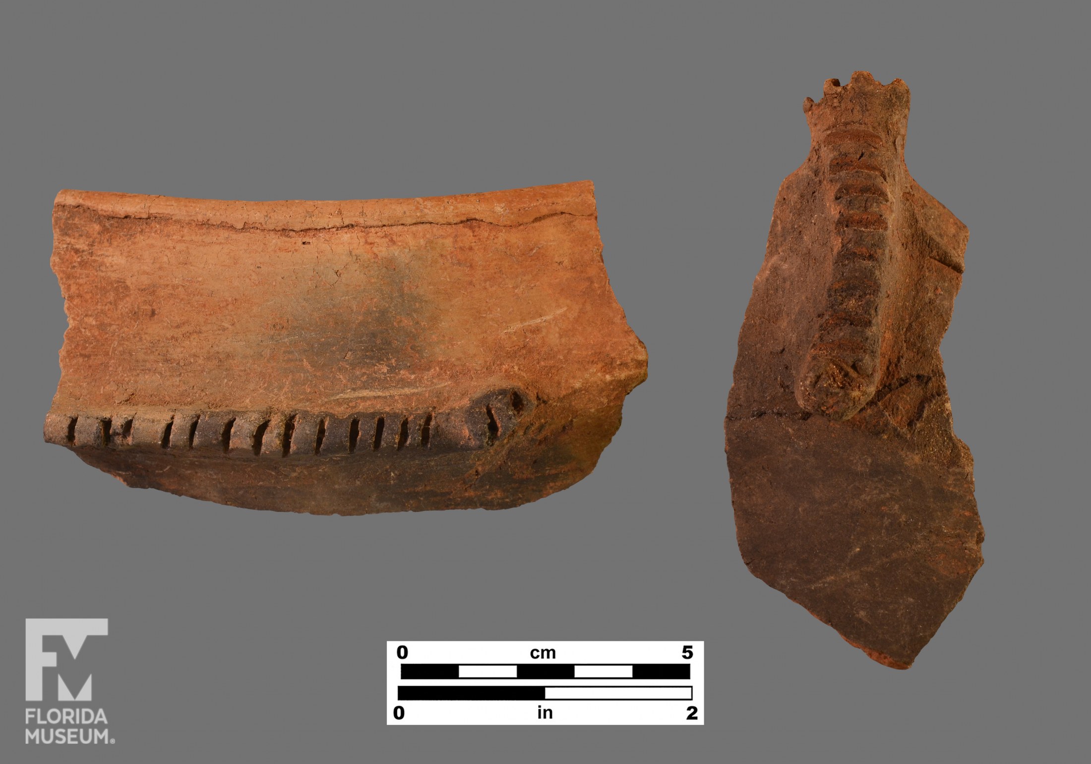 JamaicaMeillacoid Ceramic Technology Lab