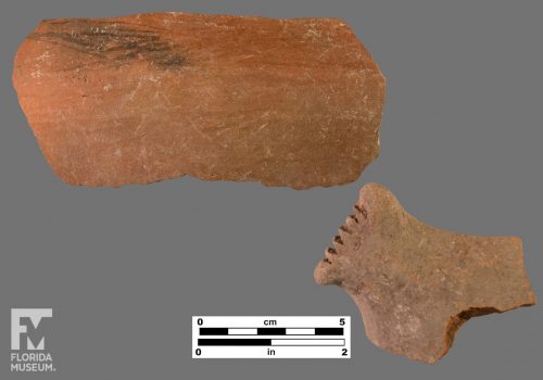 Formal artifact photo of two sherds, including one with modeled and incised appliqué.