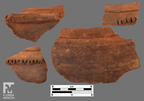 Formal artifact photo of four sherds including some with folded rims and incised appliqué.
