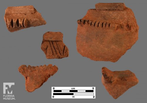Formal artifact photo of five sherds with decorations including folded rims, appliqué, and incising.