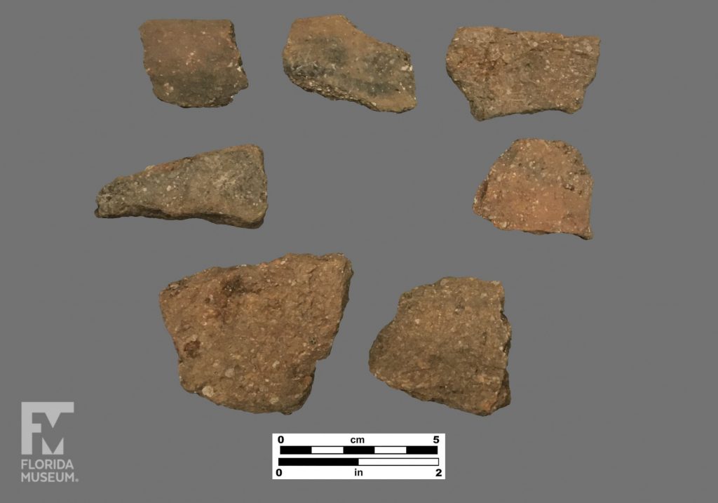 Formal artifact photo of seven undecorated sherds.