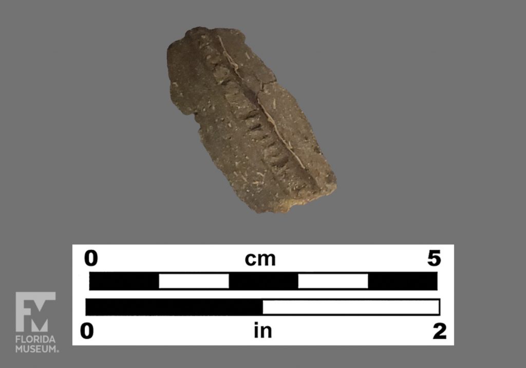 Formal artifact photo of a dark narrow sherd with an incised band along its length.