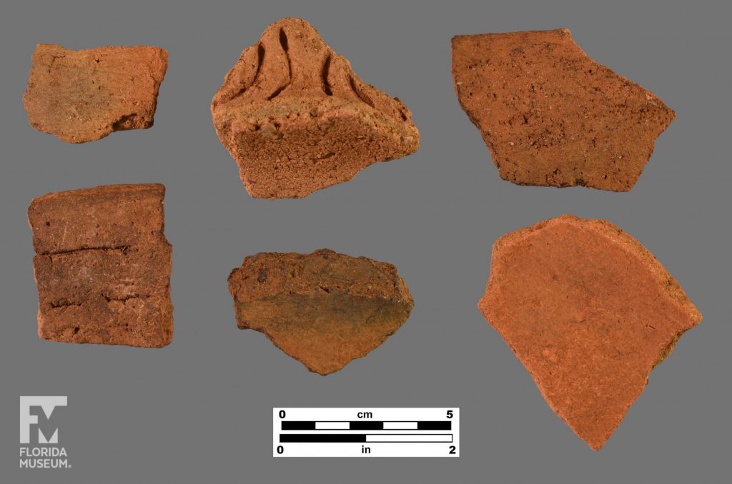 Formal artifact photo of six sherds, including one modeled and incised handle.