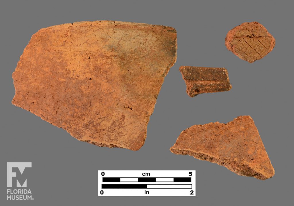 Formal artifact photos of four sherds, including one large rim sherd, one decorated sherd, and one with impressions.