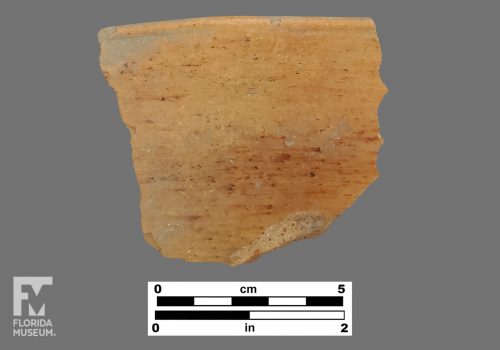 Formal artifact photo of a rim sherd.