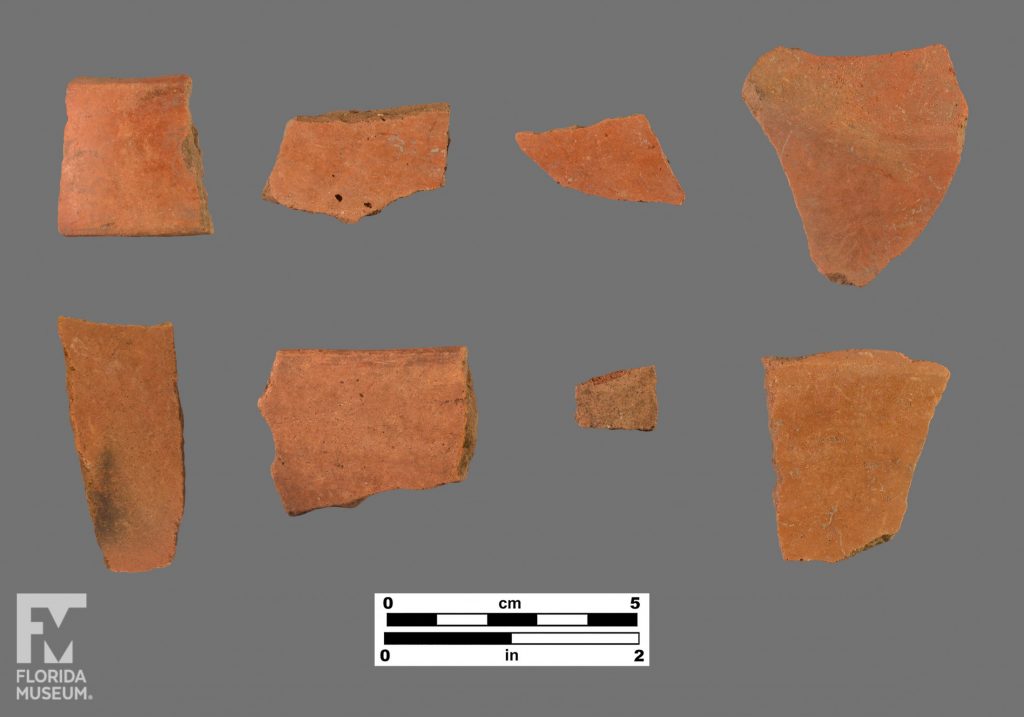 Formal artifact photos of four right sherds.
