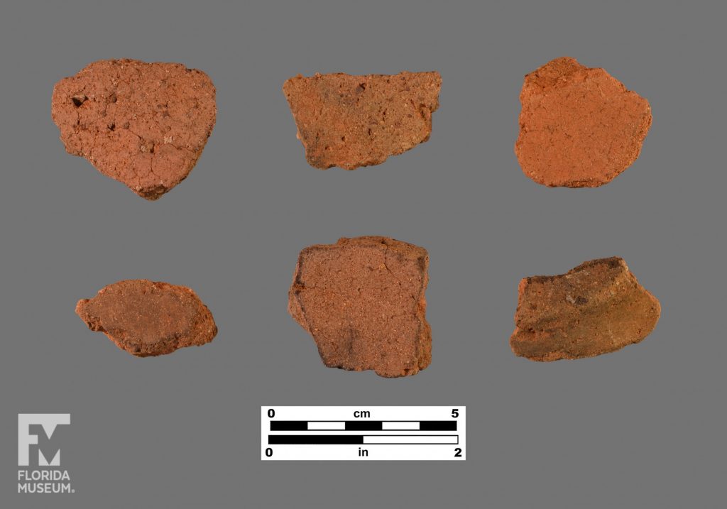 Formal artifact photo of six undecorated sherds, with one rim sherd on the bottom right,