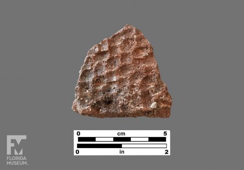 Formal artifact photo of a sherd with square shaped impressions on its surface.
