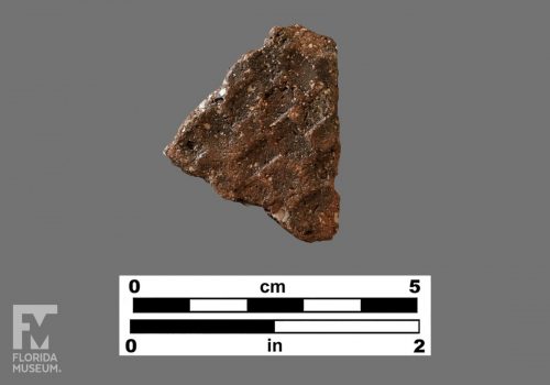 Formal artifact photo of an impressed sherd.