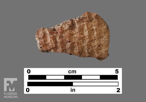 Formal artifact photo of an impressed sherd.