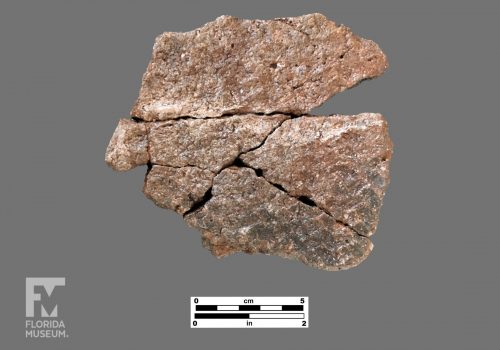 Formal artifact photo of an impressed sherd broken into five pieces.