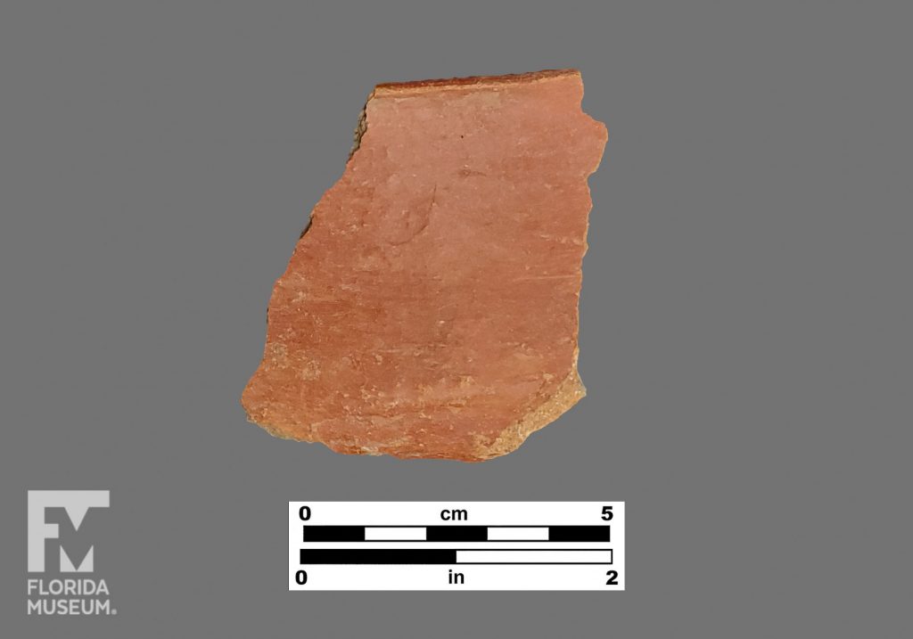 Formal artifact photo of a red-painted sherd.