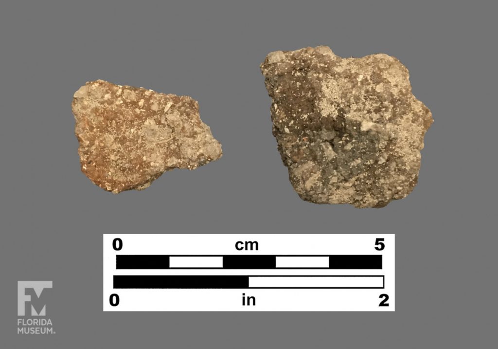 Formal artifact photo of two sherds covered in sand, one is red and the other is dark. Both have visible white temper.