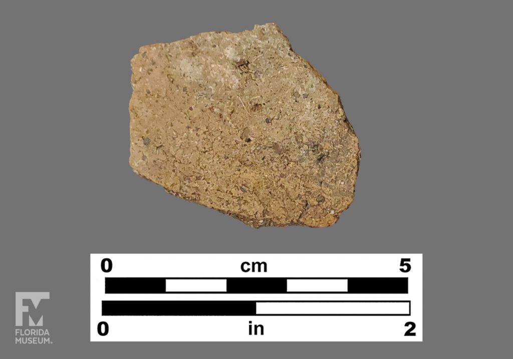 Formal artifact photo of a tan colored undecorated sherd.