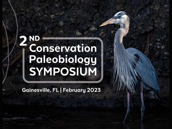 2nd Conservation Paleobiology Symposium, Gainesville FL, February 2023 logo, with blue heron standing to the right of it