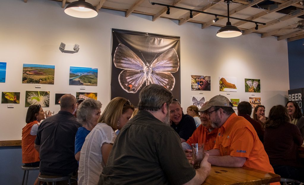 people sitting at tables in the brewery. A large photo og the miami blue butterfly is on the wall.