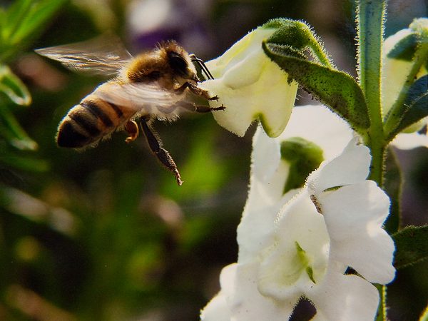 3rd place • Brian Denny • Gainesville, FL