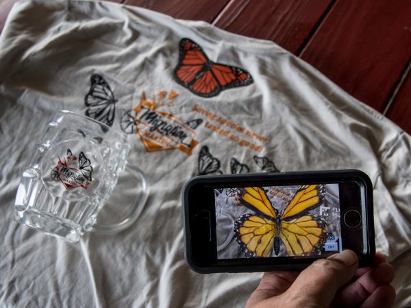 augmented reality butterfly seen through the libraries of life app.
