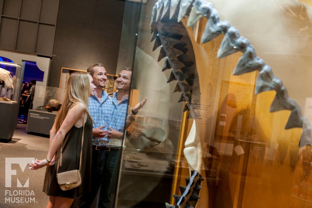 visitors in exhibit with megalodon
