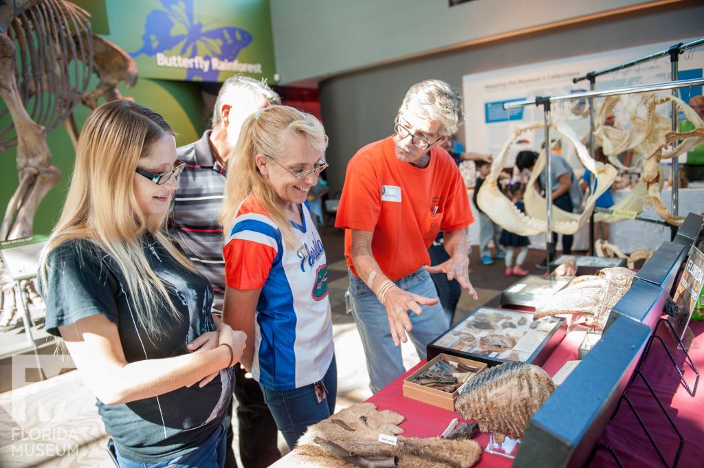 women looking at fossil display