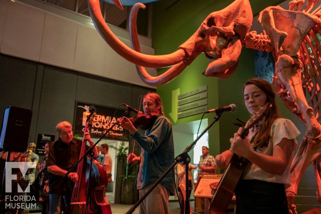 band playing under mammoth