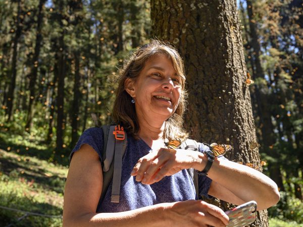 woman in forest with butterflies on her