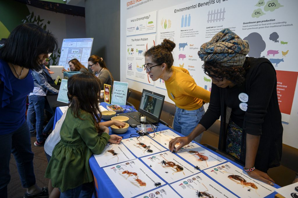 two researchers talk to a young girl at a table covered in enlarged photos of ants