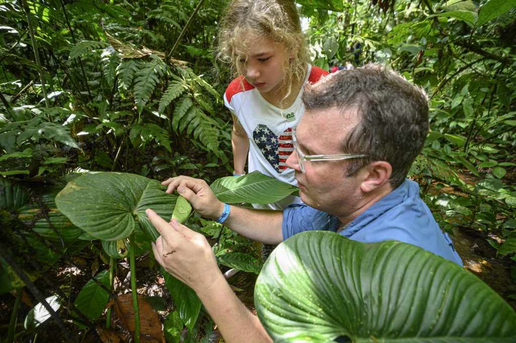 David Blackburn showing a child how to look under leaves for frog eggs.