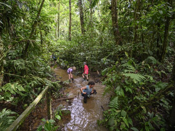 Kids in a stream in a rainforest in Costa Rica