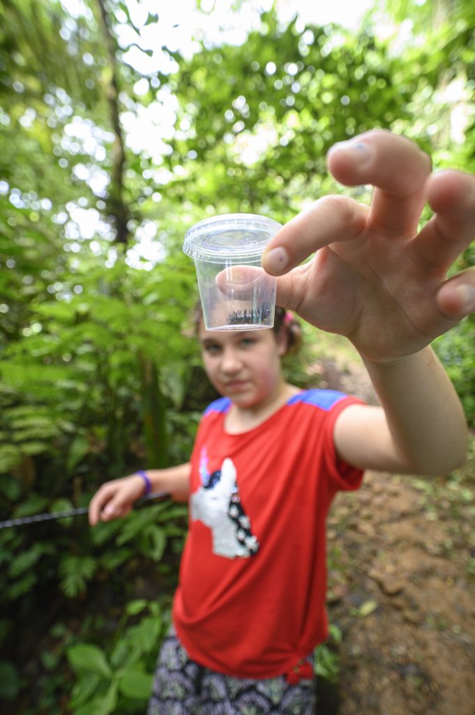 A child holding up a caterpillar in a collection bottle in the rainforest in Costa Rica.