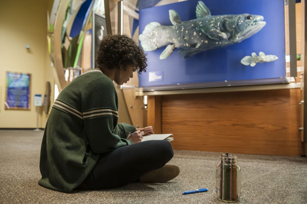 artist sitt on on the floor and drawing in front of a fish display