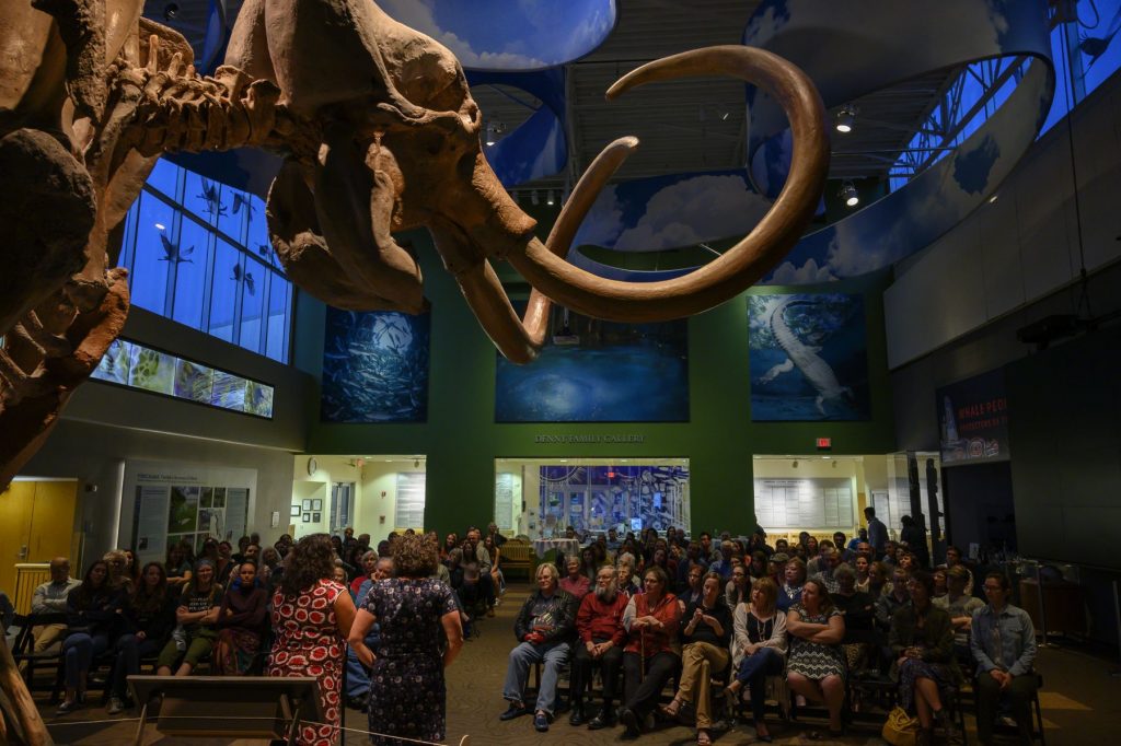 Audience seated in the Florida Museum of Natural History listen to the Fieldwork Fails with Guts & Glory GNV speakers
