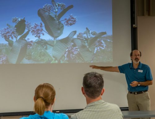 man pointing at projected flower photo in front of an audience