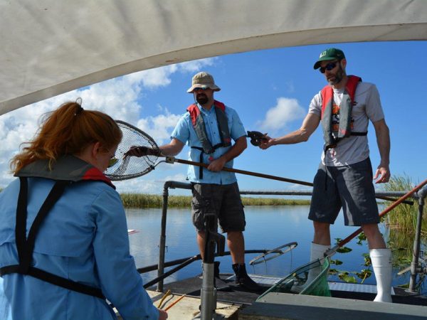 three researchers on a boat collecting fish