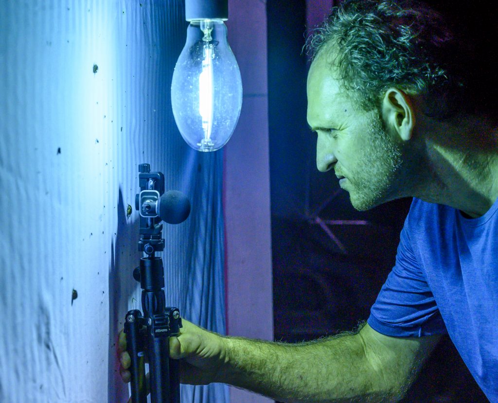 researcher under blue ight holds a camera close to an insect on a sheet