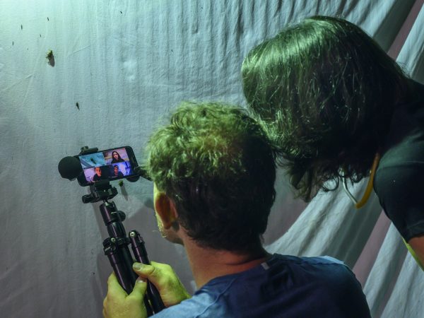 two scientists look at a lit sheet and point a mobile device at some insects during a live meeting