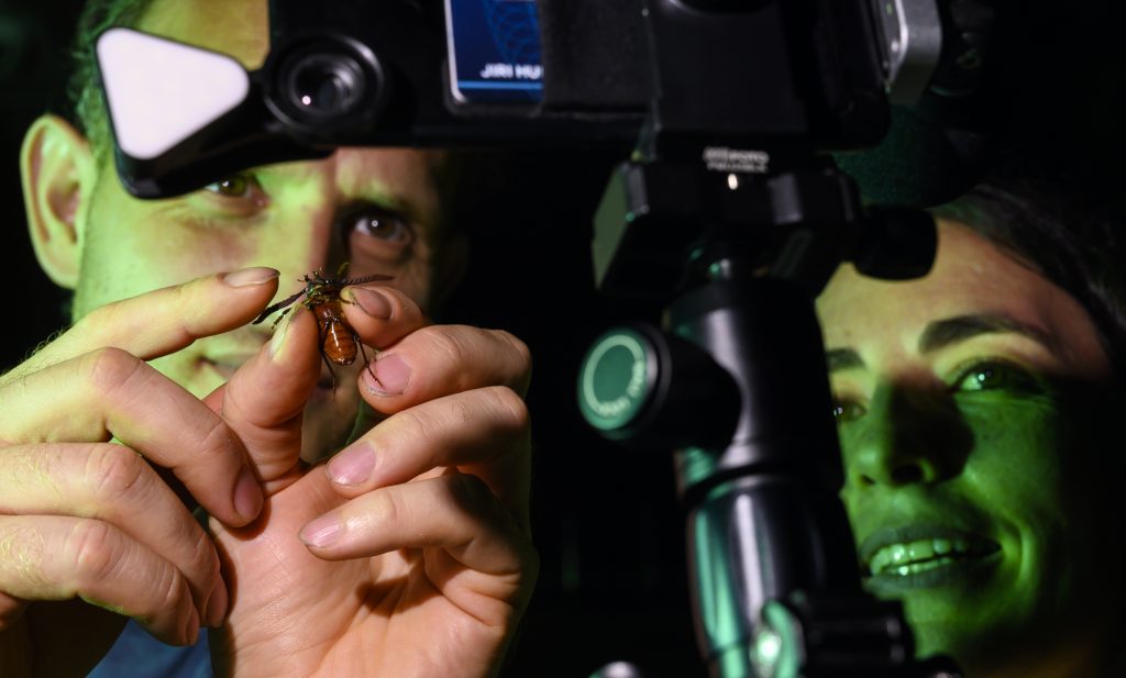 two scientists carefully hold a beetle up to a mobile device on a tripod